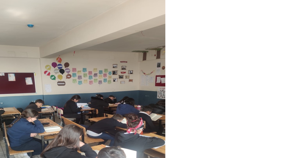 HAKKARİ BAŞARACAĞIM   OKUMA ALIŞKANLIĞI